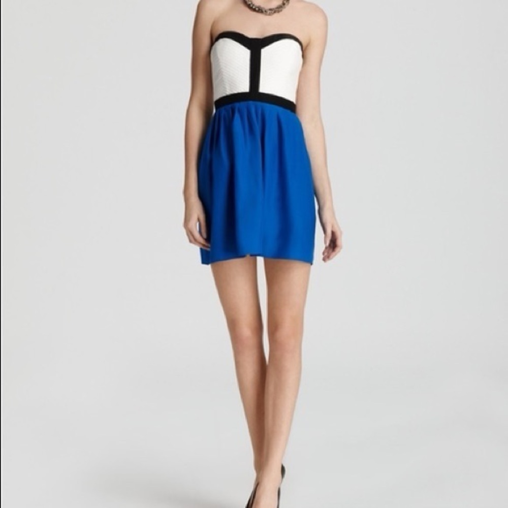 Parker Strapless Dress in Blue and White